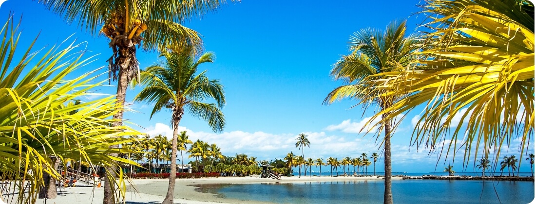 Matheson Hammock Park