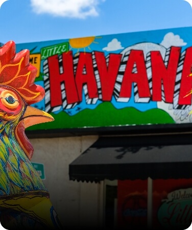 Little Havana