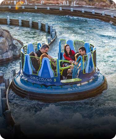 Family Fun In Orlando