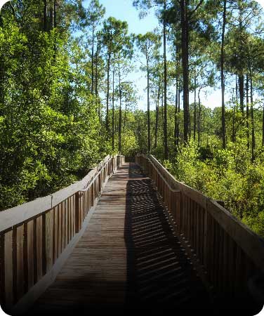 Orlando's Best Outdoor